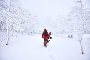 Apa Yang Seru Traveling Di Jepang Selama Bulan Februari ? Intip Semuanya Disini !